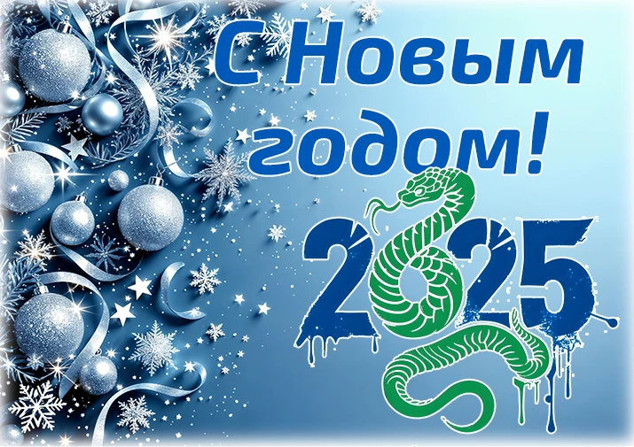 C новым 2025 годом!